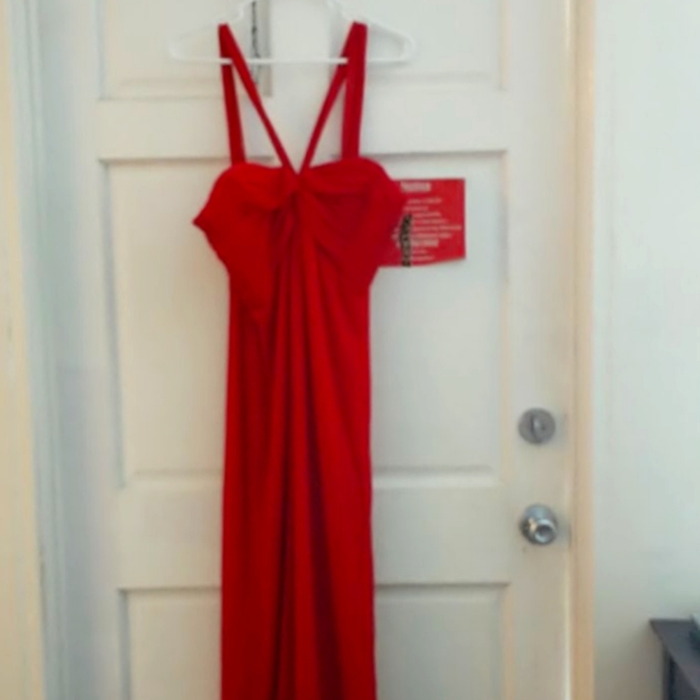 Alex evenings gown
